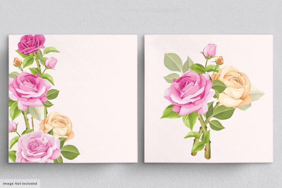 Beautiful Roses Hand Drawn Illustrations: A Designer's Guide