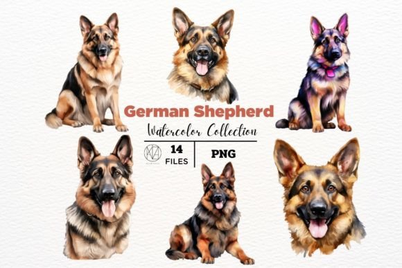 Watercolor German Shepherd Illustrations: Unleash Elegance